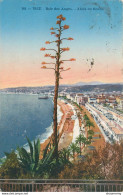 CPA Nice-Baie Des Anges-aloes En Fleurs-184-Timbre        L2196 - Multi-vues, Vues Panoramiques