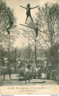 CPA Paris-Jardin Zoologique D'acclimatation-Les Malabares    L2178 - Altri Monumenti, Edifici