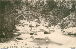 CPA La Spelunca-Le Pont Gémois Du Torrent De Porto-46     L2163 - Other & Unclassified