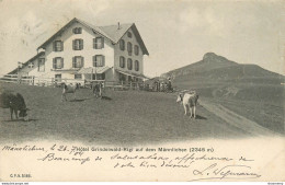 CPA Hôtel Grindelwald Rigi Auf Dem Männlichen-Timbre       L2243 - Grindelwald