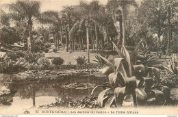 CPA Monte Carlo-Les Jardins Du Casino-La Petite Afrique-65      L2215 - Monte-Carlo