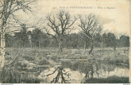 CPA Forêt De Fontainebleau-Mare à Dagneau-497-Etat Mauvais      L2296 - Fontainebleau