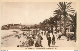 CPA Cannes-Promenade De La Croisette-24    L2280 - Cannes