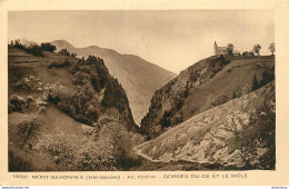 CPA Mont Saxonnex-Gorges Du Cé Et Le Môle     L2275 - Sonstige & Ohne Zuordnung