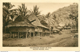 CPA Inlandsche Huizen Op Nias-Native Houses-Indonésie      L2269 - Indonesië