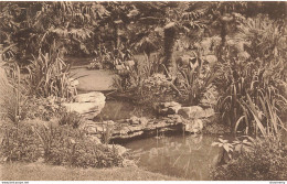 CPA Anvers-Jardin Zoologique-La Cascade      L2401 - Antwerpen