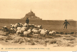 CPA Le Mont Saint Michel-Les Prés Salés Des Grèves-25   L2316 - Le Mont Saint Michel