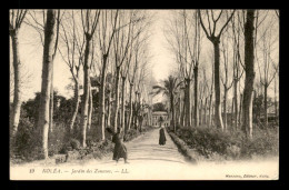 ALGERIE - COLEA - KOLEA - JARDIN DES ZOUAVES - Sonstige & Ohne Zuordnung