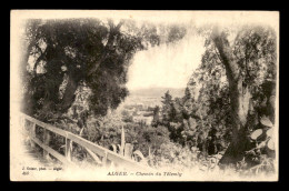 ALGERIE - ALGER - CHEMIN DU TELEMLY - EDITEUR GEISER - Alger