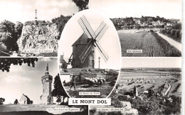 35-LE MONT DOL-N°4475-B/0117 - Other & Unclassified