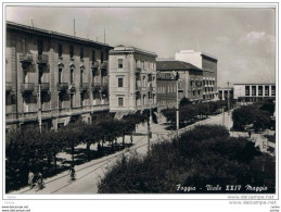 FOGGIA:  VIALE  XXIV  MAGGIO  -  FOTO  -  FG - Foggia