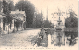 95-CHATEAU DE LA REINE BLANCHE-N°4475-F/0017 - Altri & Non Classificati