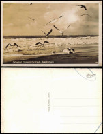 Ansichtskarte  Möwen Am Strand Seestimmung 1956 Ostseebad Timmendorferstrand - Sonstige & Ohne Zuordnung