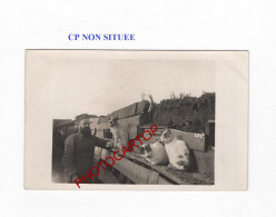 CP NON SITUEE-TRANCHEE-CHIEN-CHATS-Animaux De Compagnie-CARTE PHOTO Allemande-GUERRE 14-18-1 WK-MILITARIA- - War 1914-18