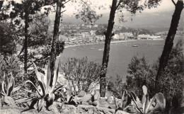 83-BANDOL-N°4476-E/0355 - Bandol