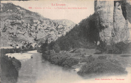 48-GORGES DU TARN-N°4476-E/0333 - Gorges Du Tarn