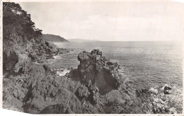 83-CAVALAIRE SUR MER-N°4476-E/0293 - Cavalaire-sur-Mer