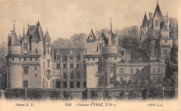 37-CHATEAU D USSE-N°4476-C/0253 - Other & Unclassified