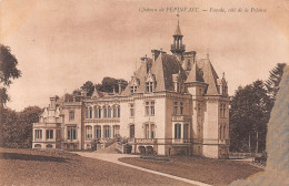 50-CHATEAU DE PEPINVAST-N°4476-G/0305 - Sonstige & Ohne Zuordnung