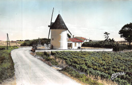 P-24-Mi-Is-1253 : ILE D'OLERON. LE MOULIN A VENT DE LA BREE - Ile D'Oléron