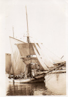 Photographie Photo Vintage Snapshot Voile Voilier Bateau Sailing - Barche
