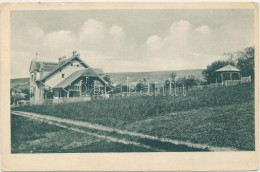 Bazna - Villa Soterius. Ludwig Zammerer - Romania