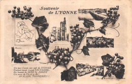 89-L YONNE MULTIVUES-N°4477-C/0131 - Sonstige & Ohne Zuordnung