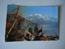 FRANCE   POSTCARDS   LE CHAMOLS DES ALPES ANIMALS        MORE  PURHASES 10% DISCOUNT - Other & Unclassified