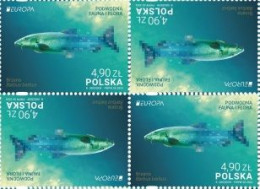 Poland Polen Pologne 2024 Europa CEPT Underwater Fauna Fish Block Of 4 Stamps In 2 Tete-beshes MNH - 2024