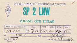 AK 210642 QSL - Poland - Elblag - Radio Amatoriale