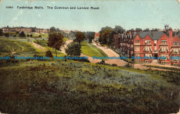 R039783 Tunbridge Wells. The Common And London Road. No 22685. 1905 - Autres & Non Classés