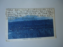 ITALY POSTCARDS  1931  VIAREGGIO PINETA E ALPI APUANE  ANDORNO MICCA POSTMARK      MORE  PURHASES 10% DISCOUNT - Autres & Non Classés