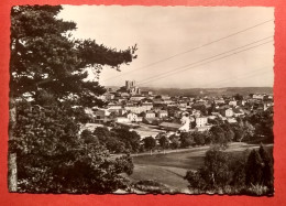 42 - LOIRE - SAINT BONNET LE CHATEAU - CPSM   - Vue Générale Vue Du Suc De La Roue - éd ? - Sonstige & Ohne Zuordnung