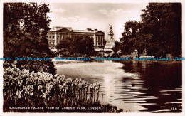 R040798 Buckingham Palace From St. James Park. London. No 156. RP - Otros & Sin Clasificación