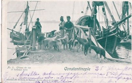 CONSTANTINOPLE            CHIENS DE RUE ET BATEAUX TURCS    PRECURSEUR  + TIMBRES - Turquie