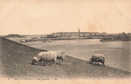 FRANCE - Saint Malo - Vue Générale - Carte Postale Ancienne - Saint Malo