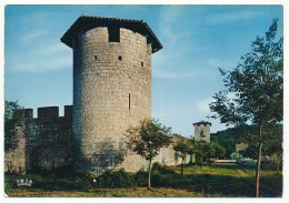 CPSM / CPM 10.5 X 15 Lot Et Garonne Aux Environs De NERAC Les Remparts De VIANNE Bastide Du XIII° S. - Nerac