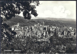 GENAZZANO - Panorama - Sonstige & Ohne Zuordnung