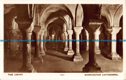 R040853 The Crypt. Worcester Cathedral. RP - World