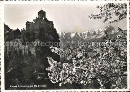 11644916 Tumegl Schloss Ortenstein Piz Beverin Tumegl - Other & Unclassified