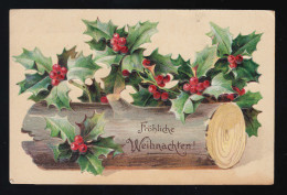 Stamm Mit Stechpalmen Und Beeren, Fröhliche Weihnachten, Mühlhausen23.12.1908 - Autres & Non Classés