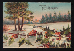 Stechpalme Winter Landschaft Schnee Wald Fröhliche Weihnachten, 25.12.1907 - Sonstige & Ohne Zuordnung