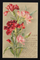 Nelken Rosa Rot Blüten, Künstler Signiert, Bestellt Postamt 36 Berlin 19.9.1902 - Autres & Non Classés