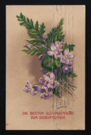 Veilchen Viola Mit Farn Kraut Strauß, Glückwünsche Geburtstag, Neukölln 2.7.1915 - Altri & Non Classificati