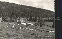 11644732 Orbe Chalet De La Mathoulaz Vaches Orbe - Sonstige & Ohne Zuordnung