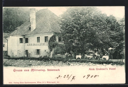 AK Mürzsteg /Steiermark, Hotel Von Alois Grabner  - Autres & Non Classés
