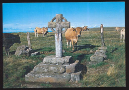 CPSM / CPM 10.5 X 15 Aveyron  En Parcourant Les Monts D'AUBRAC La Croix De La "RODA" Et Les Pâturages  Carte "toilée" - Andere & Zonder Classificatie