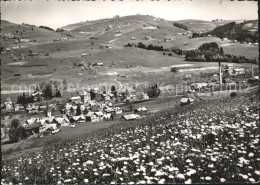 11644569 Schoenengrund AR Panorama Mit Sitz Sommerwiese Schoenengrund AR - Altri & Non Classificati