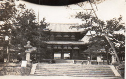 Photographie Photo Vintage Snapshot Japon Japan Nara - Places