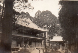 Photographie Photo Vintage Snapshot Japon Japan Nara - Orte